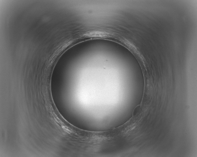 X0000078280529200611101136