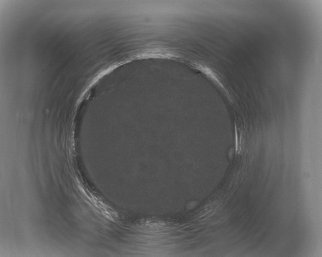 X0000078280531200611101136