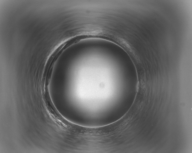 X0000078280532200611101136