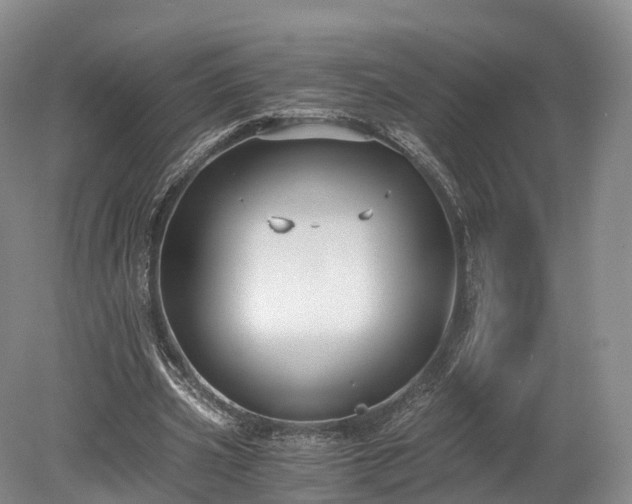 X0000078280533200611101136