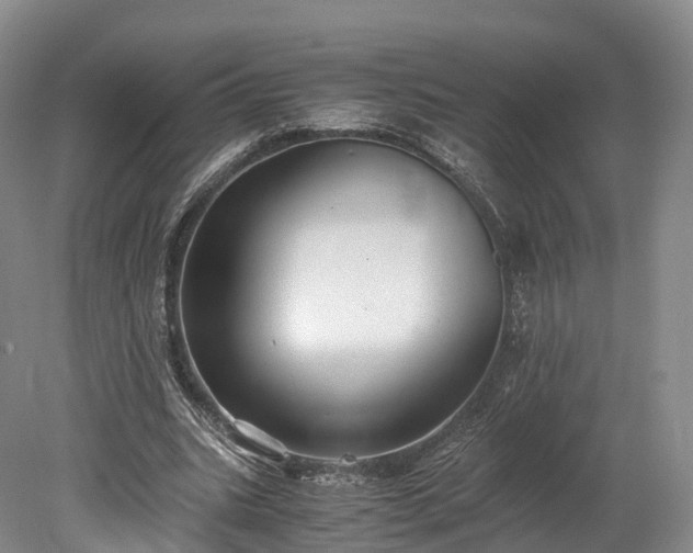 X0000078280535200611101136