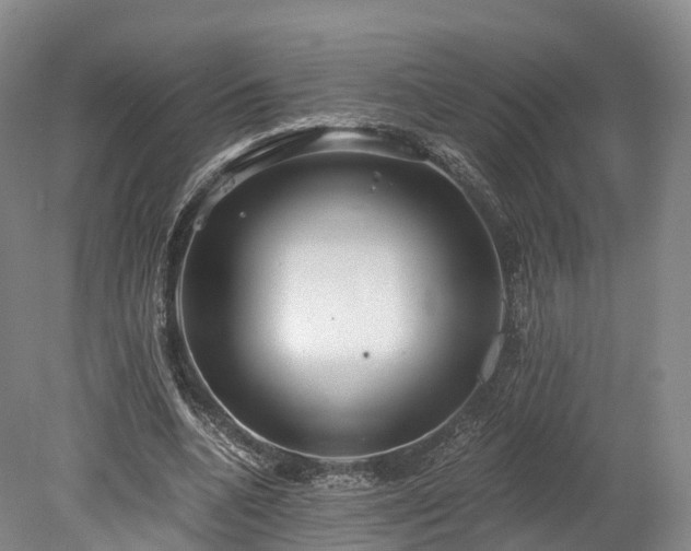 X0000078280536200611101136