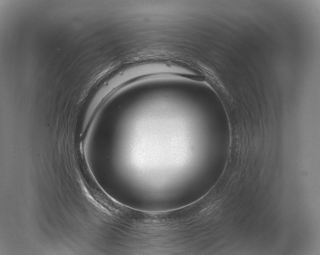 X0000078280538200611101136