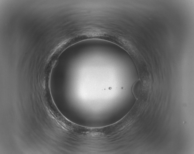 X0000078280539200611101136