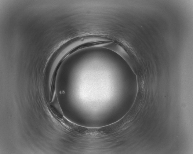 X0000078280540200611101136