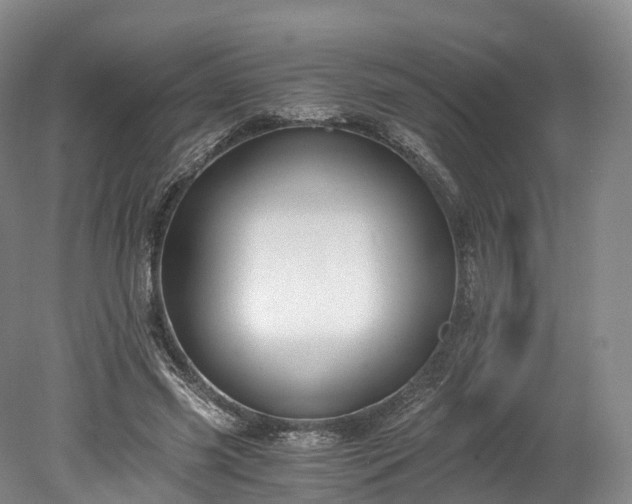 X0000078280541200611101136