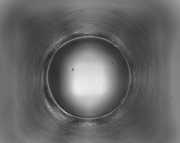 X0000078280542200611101136