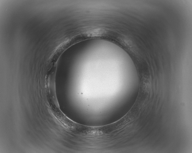 X0000078280543200611101136