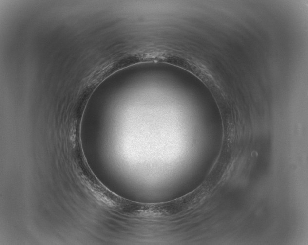 X0000078280545200611101136