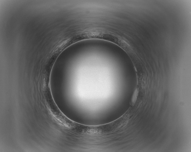 X0000078280546200611101136