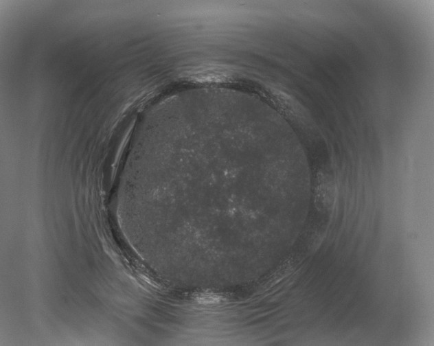 X0000078280547200611101136