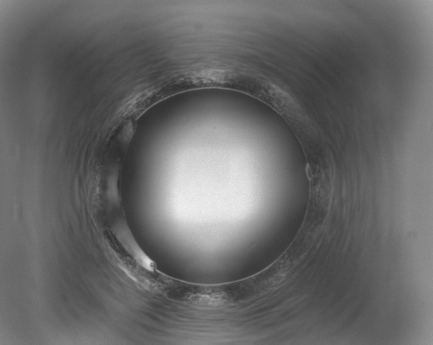 X0000078280548200611101136