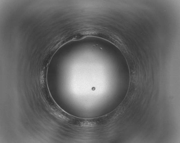 X0000078280549200611101136