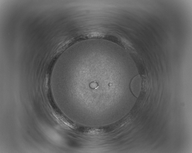 X0000078280550200611101136