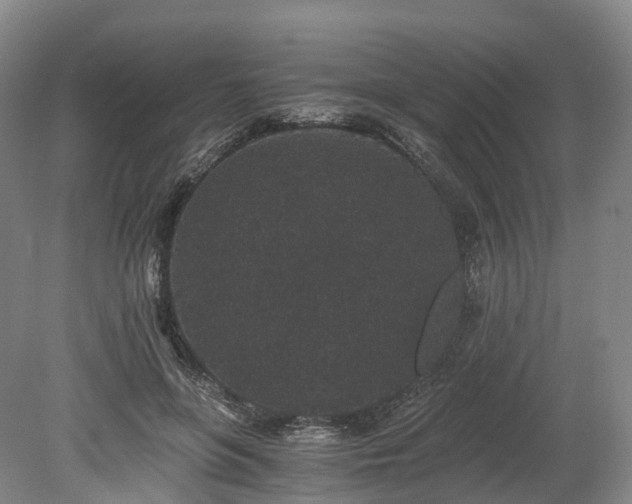 X0000078280551200611101136