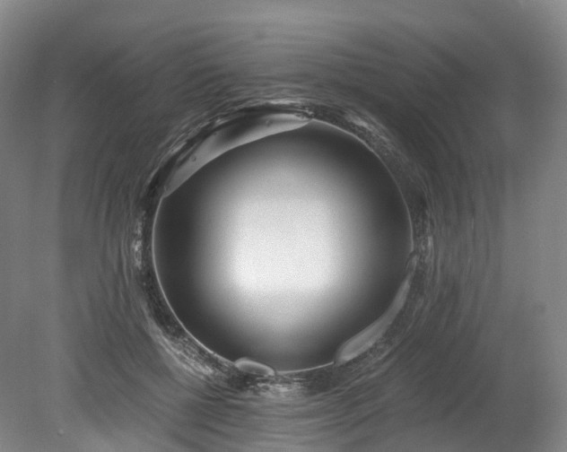 X0000078280552200611101136