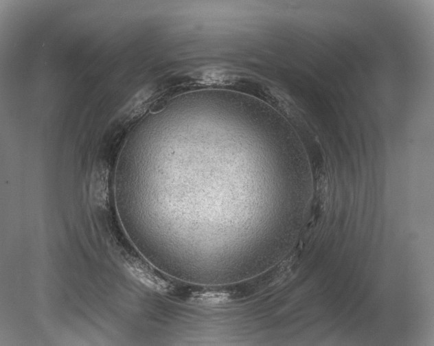 X0000078280554200611101136