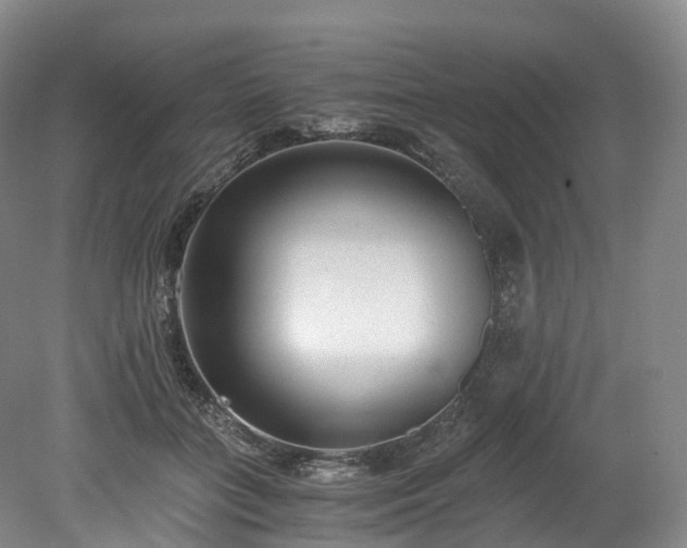 X0000078280555200611101136