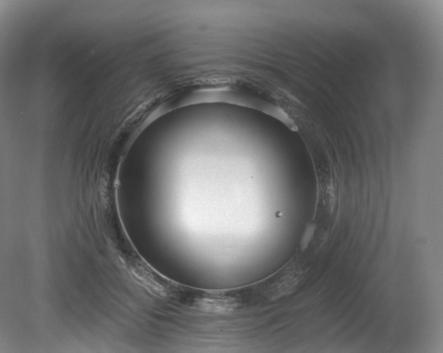 X0000078280556200611101136