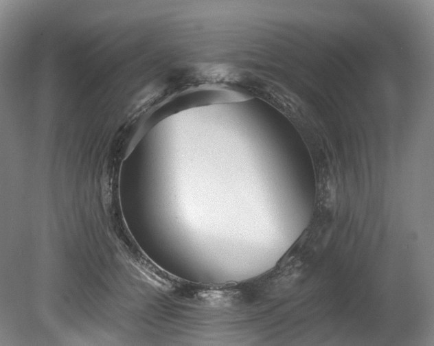 X0000078280558200611101136