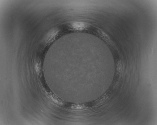 X0000078280559200611101136