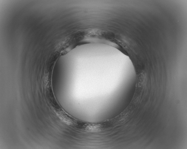 X0000078280560200611101136