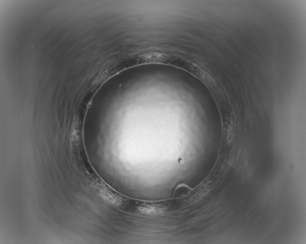 X0000078280561200611101136