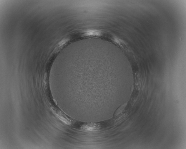 X0000078280563200611101136