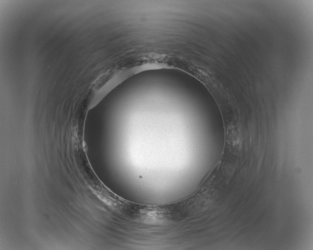 X0000078280564200611101136