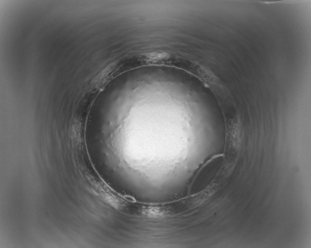 X0000078280565200611101136