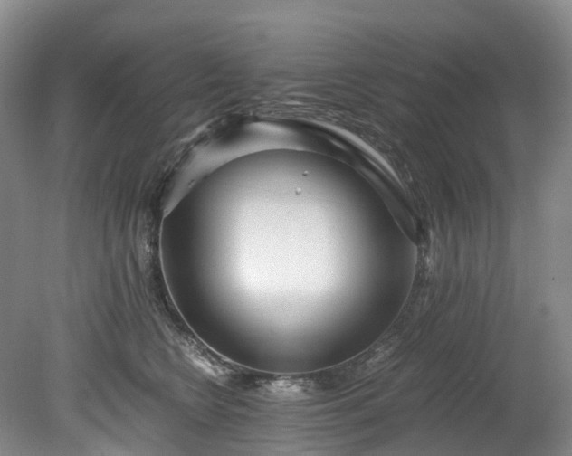 X0000078280566200611101136