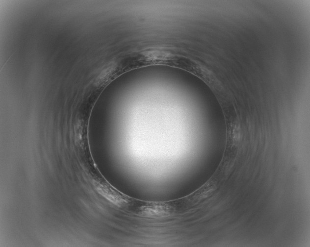 X0000078280567200611101136