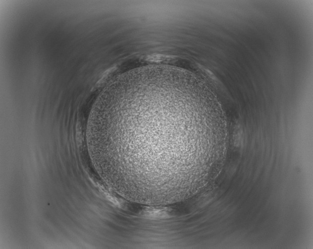 X0000078280569200611101136