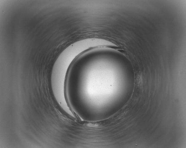 X0000078280570200611101136