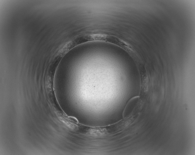 X0000078280571200611101136