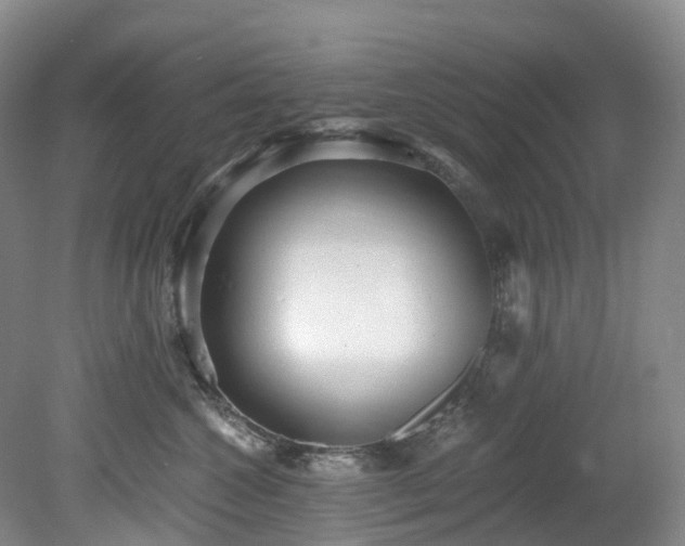 X0000078280572200611101136