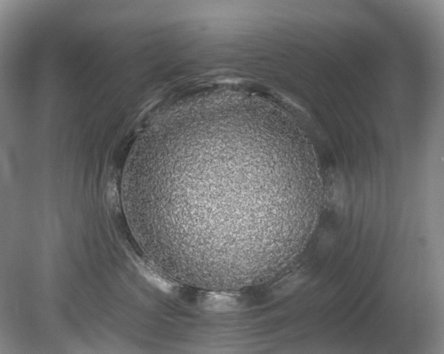 X0000078280573200611101136