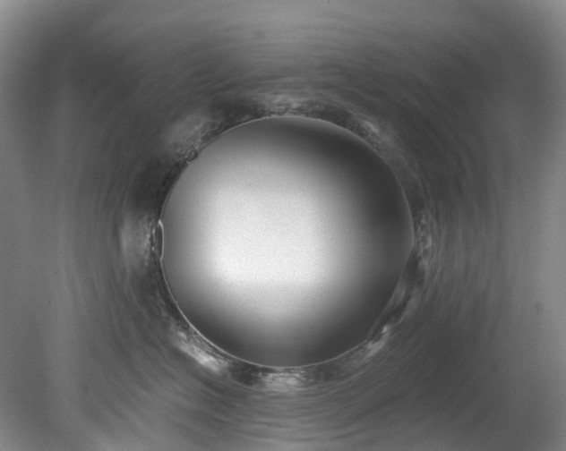 X0000078280574200611101137