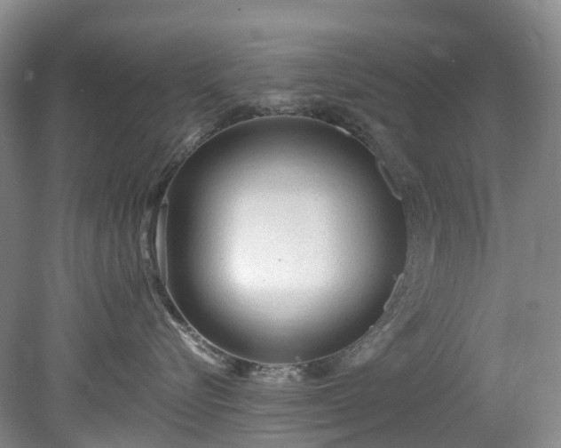 X0000078280576200611101137