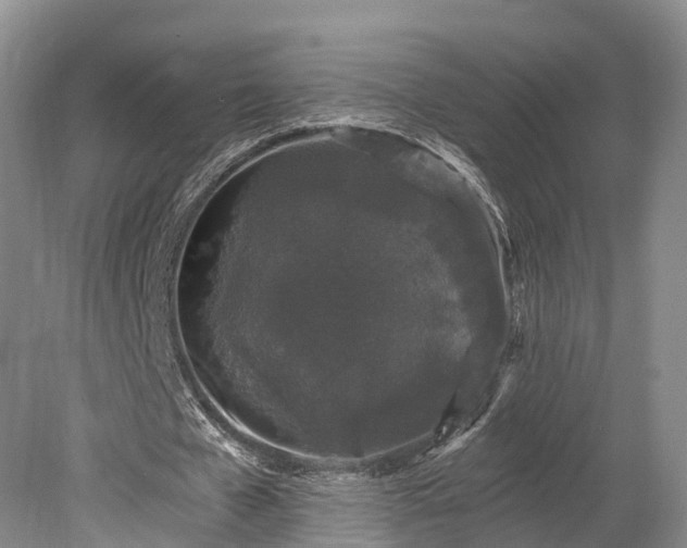 X0000078280577200611101136