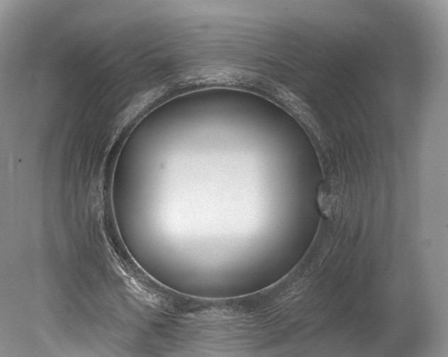 X0000078280578200611101136