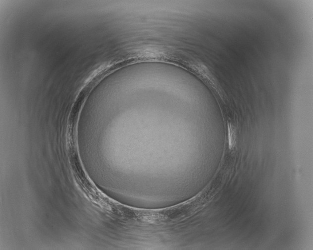 X0000078280579200611101136