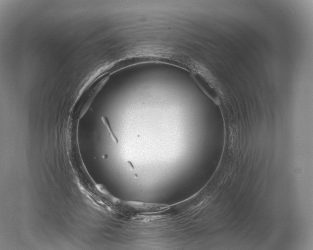 X0000078280580200611101136