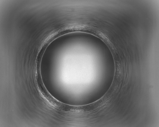 X0000078280582200611101136