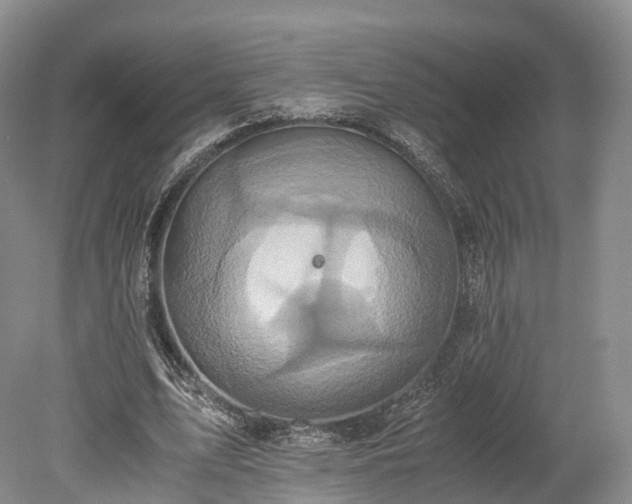 X0000078280583200611101136