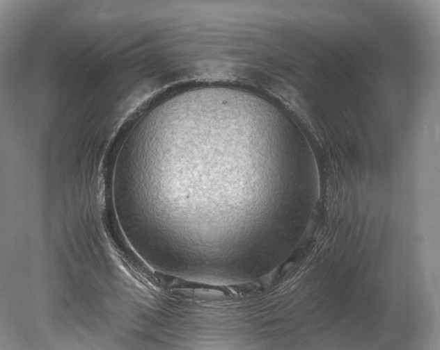 X0000078280584200611101136