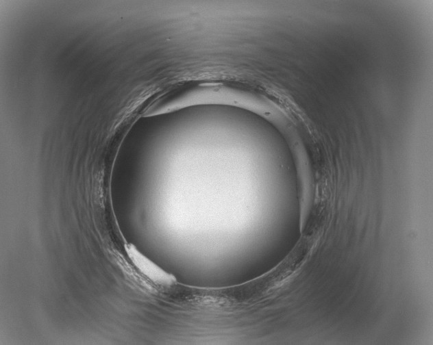 X0000078280585200611101136