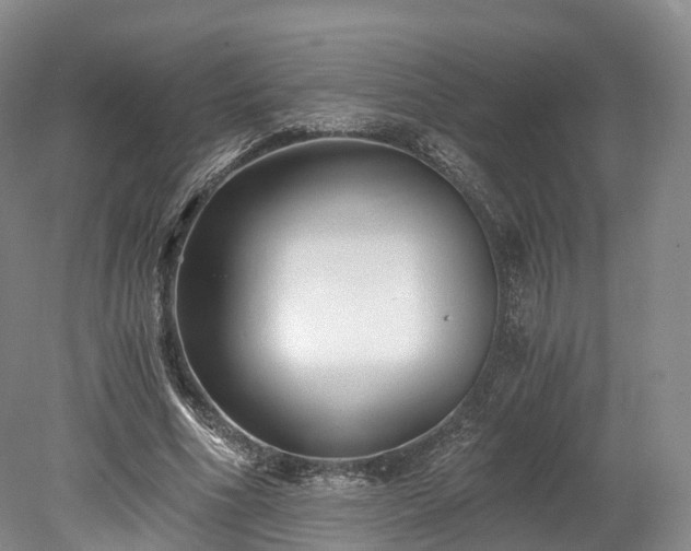 X0000078280586200611101136