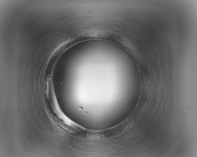 X0000078280587200611101136