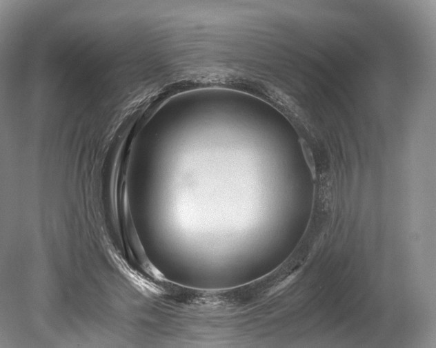 X0000078280589200611101136